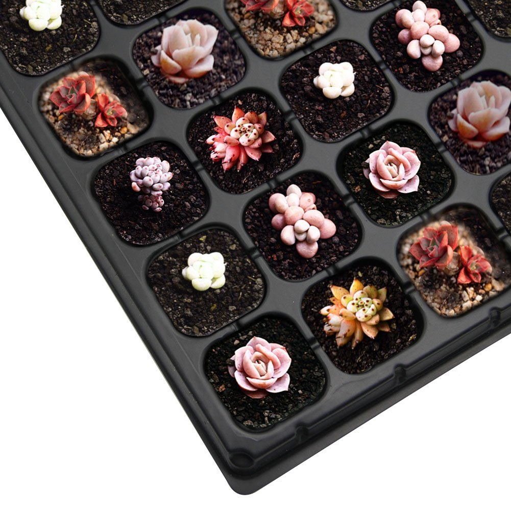 105 cells Plastic Seed Trays Plant Growing Trays