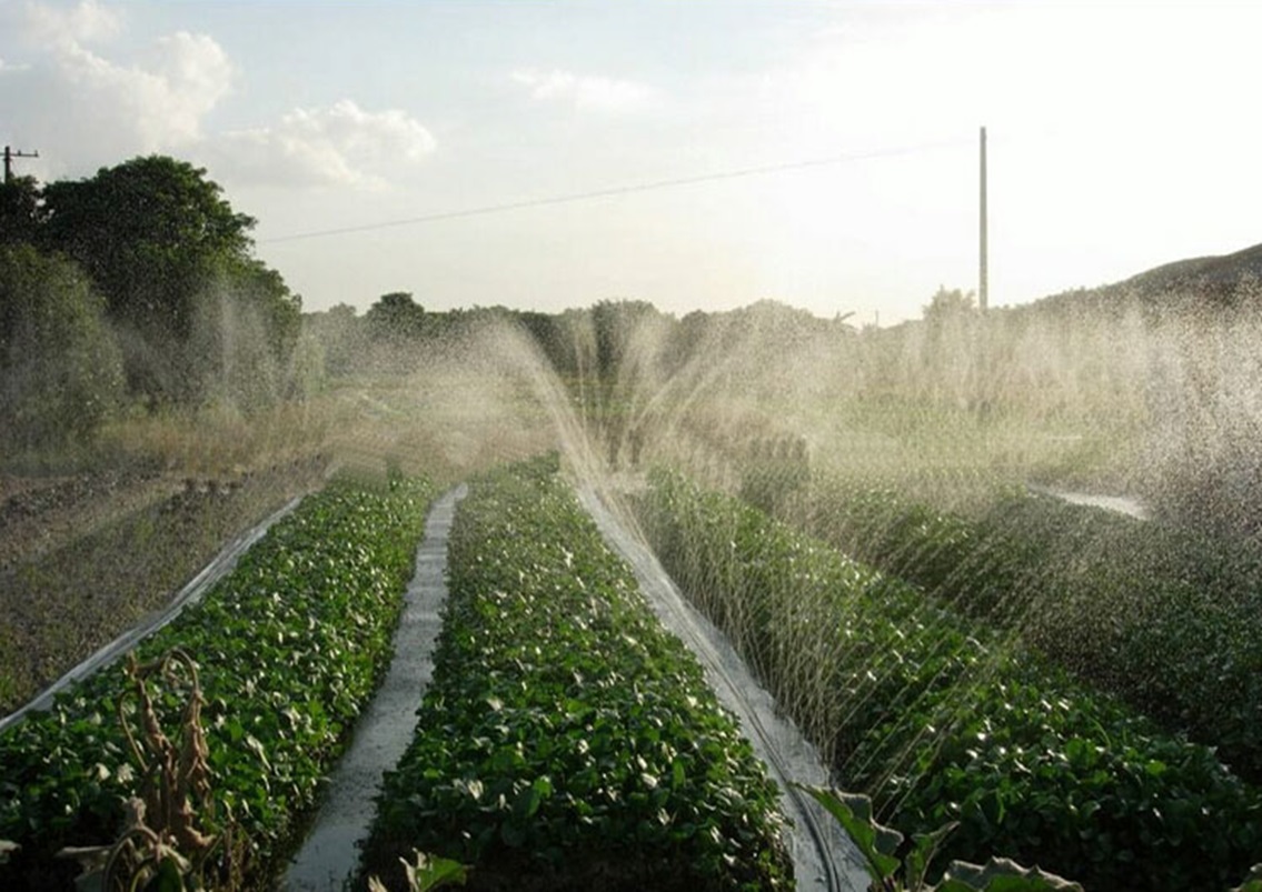 Agriculture sprinkler irrigation system micro spray hose rain spray tape
