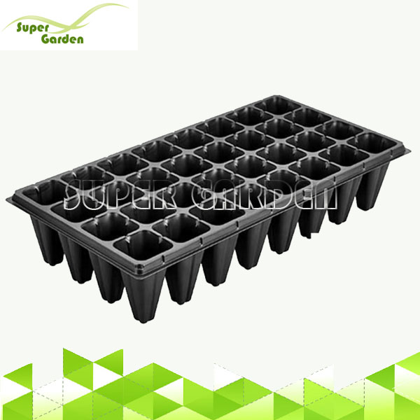 SGT32cells 32 cells Polystyrene Seed Germination Tray for Tree